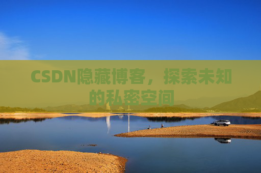 CSDN隐藏博客，探索未知的私密空间
